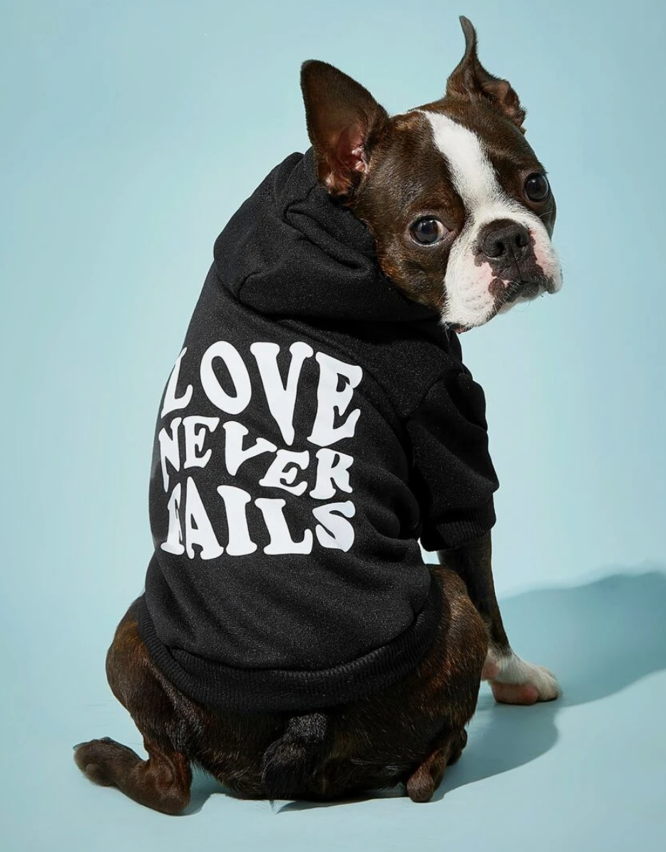 Letter Graphic Pet Hoodie