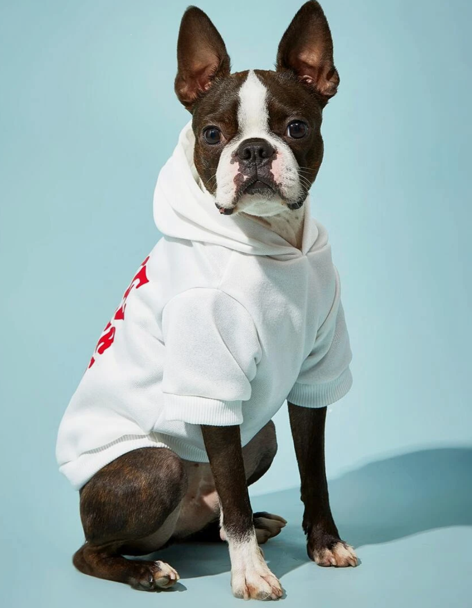 Letter Graphic Pet Hoodie