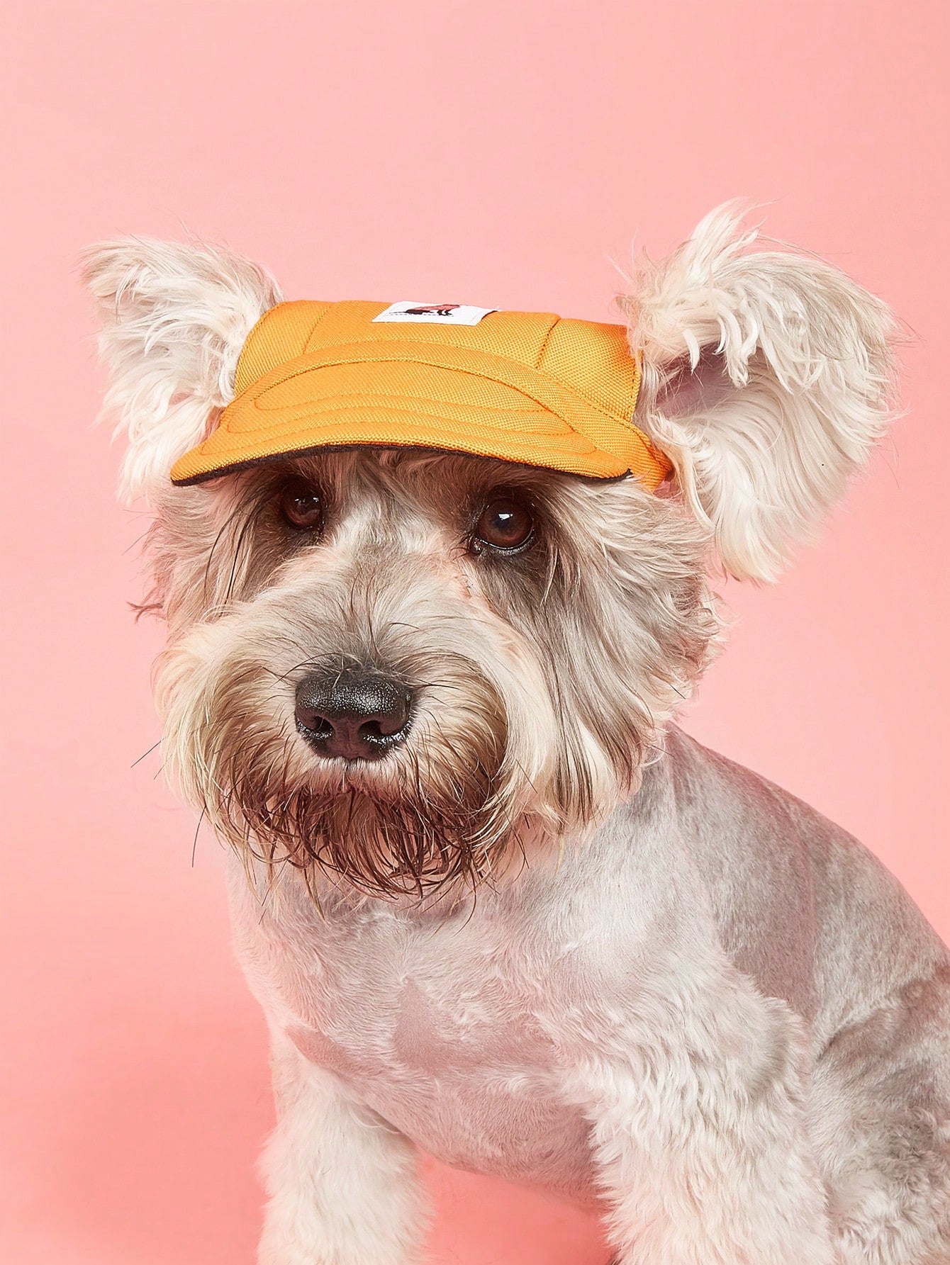 Dog Pattern Baseball Cap