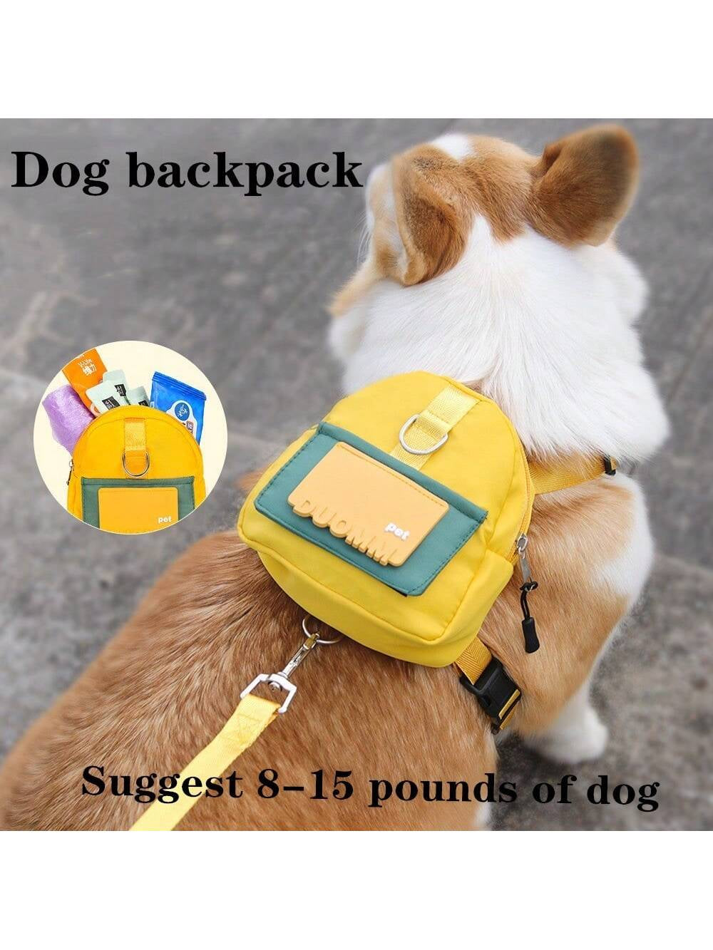 Dog Leash Cartoon Schoolbag Style