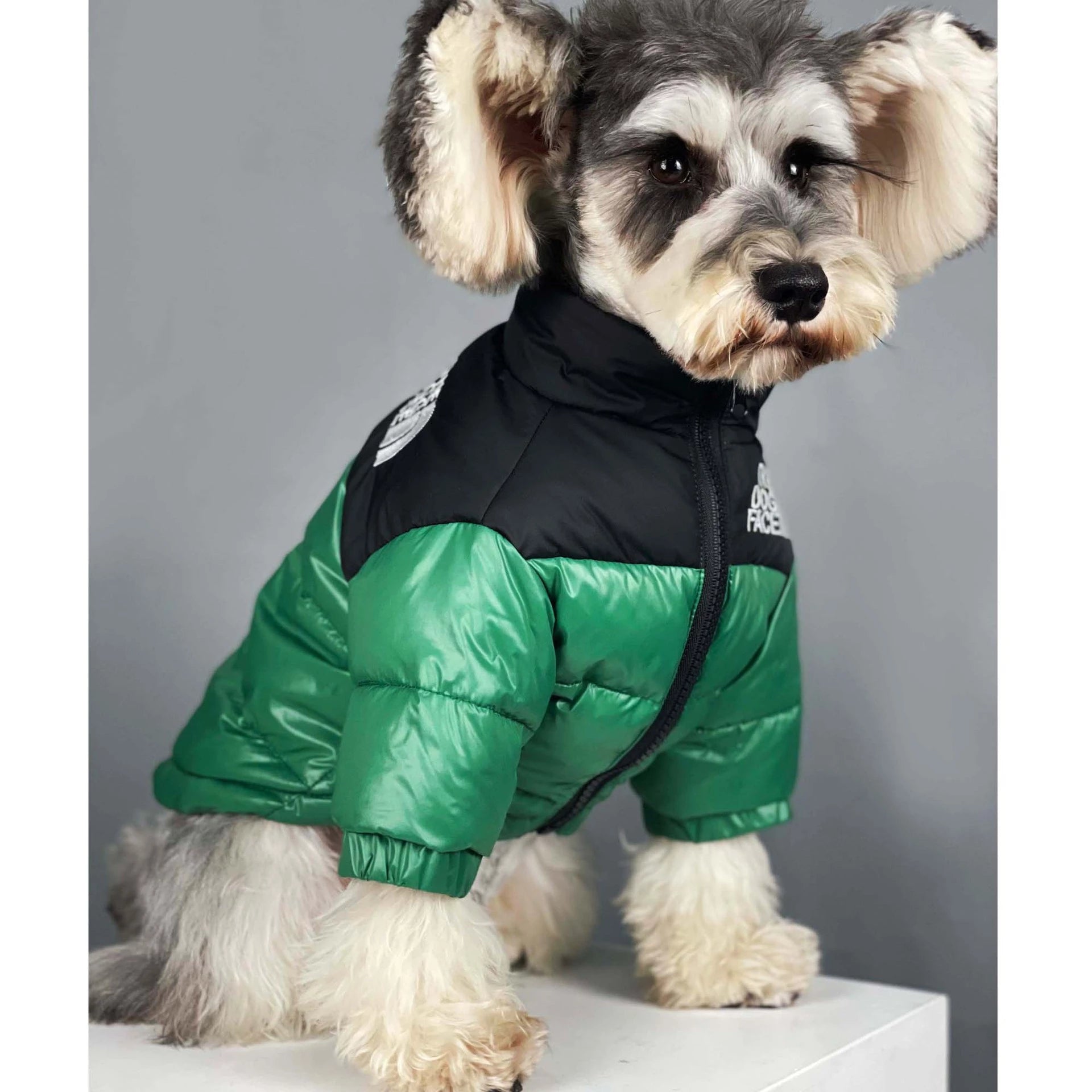 DogFace Puffer Coat