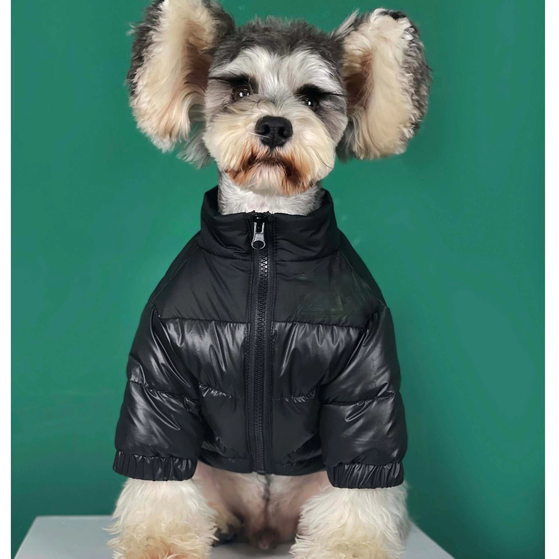 DogFace Puffer Coat