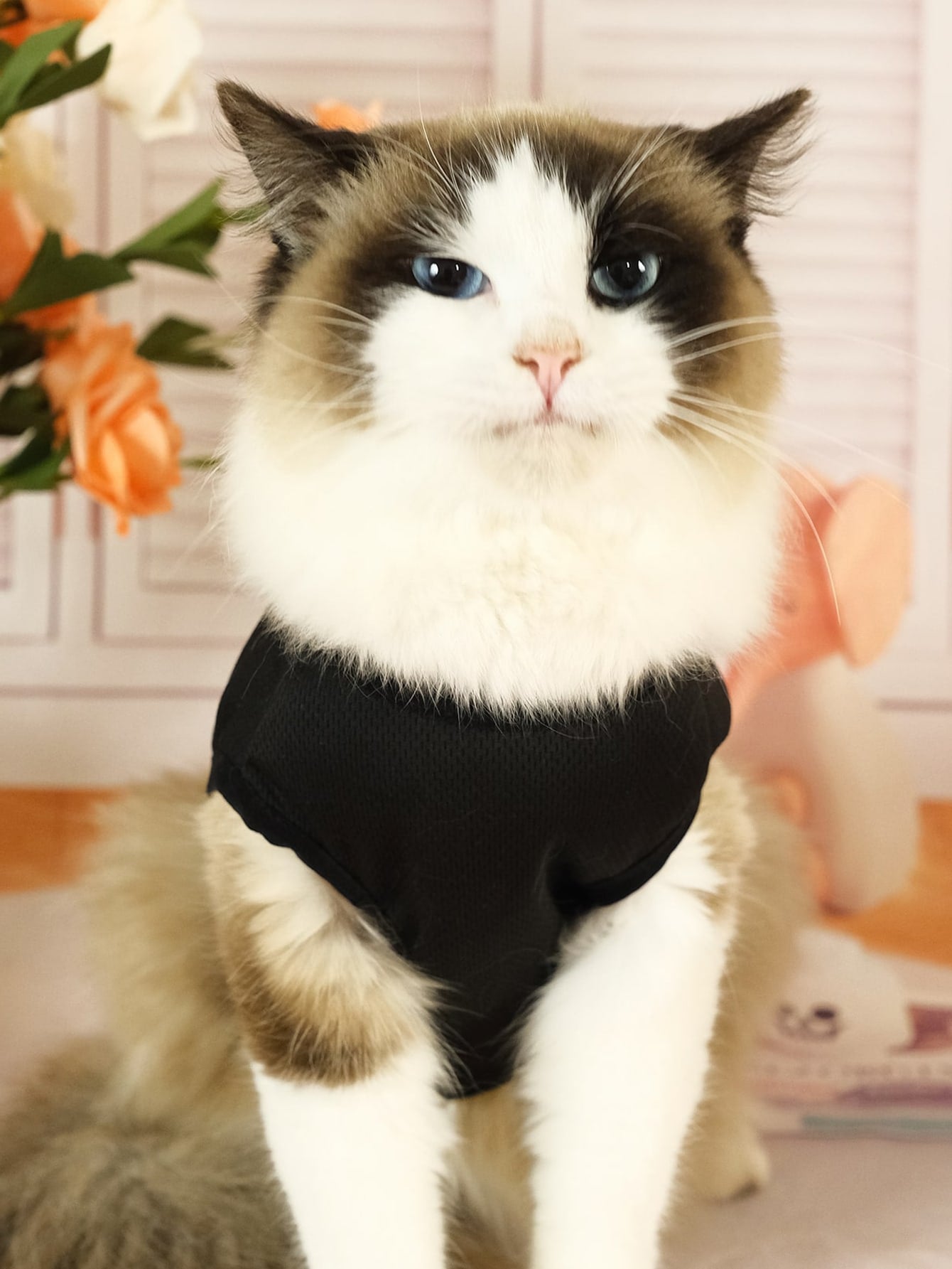 Pet Cat Vest
