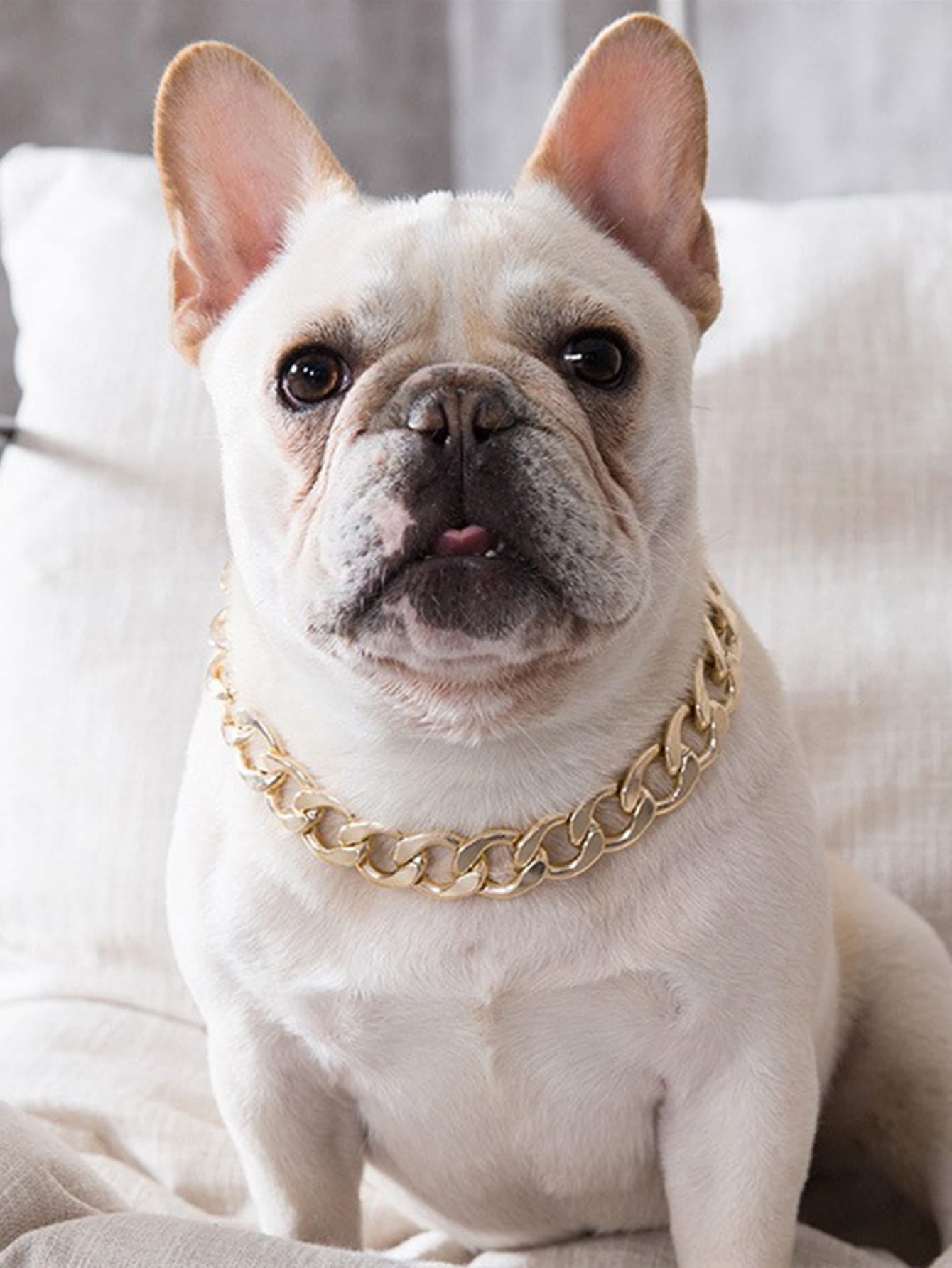 Gold-plated Chain With Tassel Detail Pet Necklace